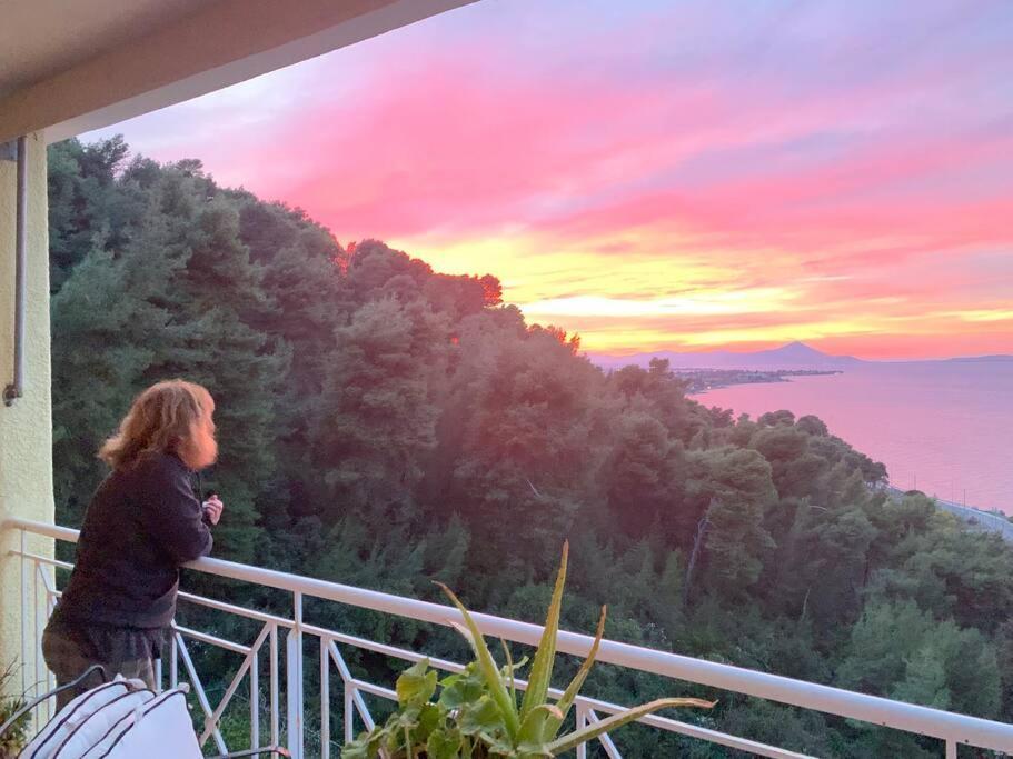 Markopoulon Oropou Amfiteatrico Sea View - Kalamos Attiki 아파트 외부 사진
