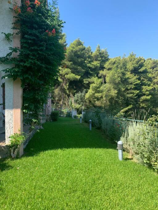Markopoulon Oropou Amfiteatrico Sea View - Kalamos Attiki 아파트 외부 사진